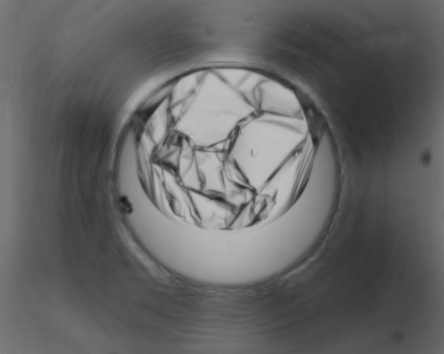 X0000115811469200912241904