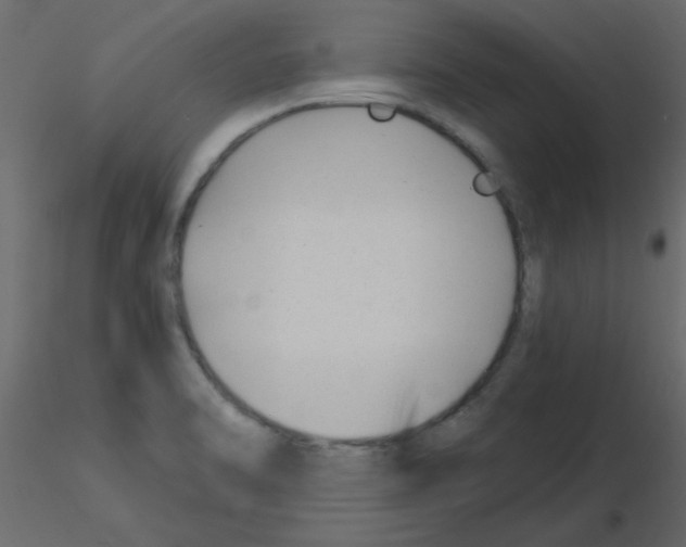 X0000115811470200912241904