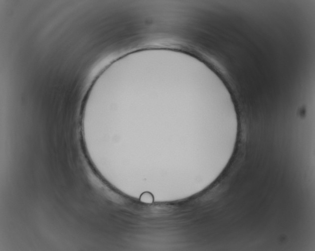 X0000115811471200912241903