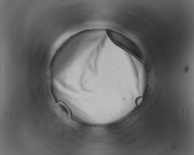 X0000115811472200912241903