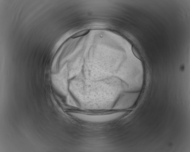 X0000115811473200912241903