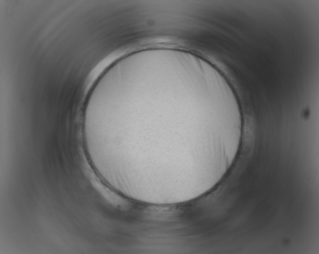 X0000115811474200912241903