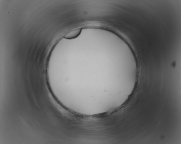 X0000115811475200912241903