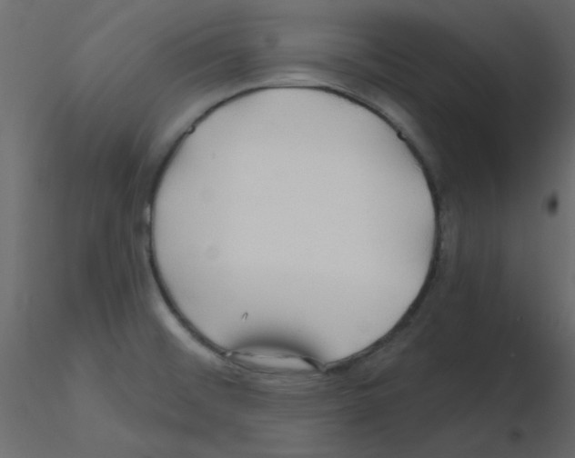 X0000115811476200912241903