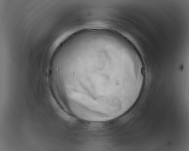 X0000115811477200912241903
