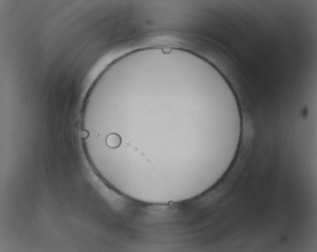 X0000115811478200912241903