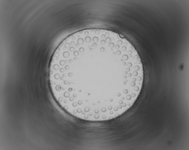 X0000115811479200912241903