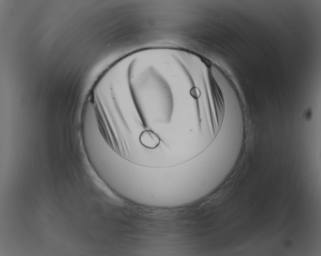 X0000115811480200912241903