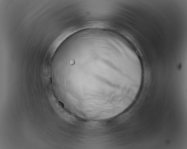 X0000115811481200912241903