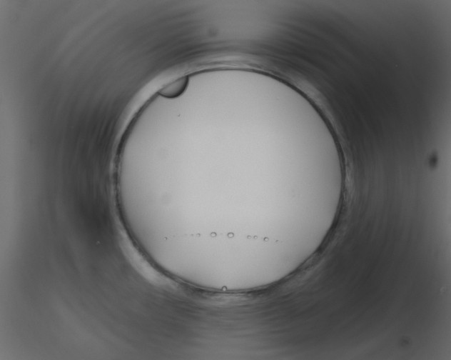 X0000115811482200912241903