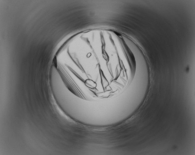 X0000115811484200912241903