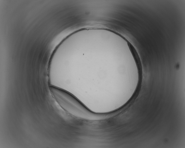 X0000115811485200912241903