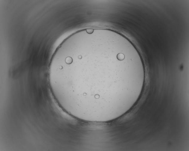 X0000115811486200912241903