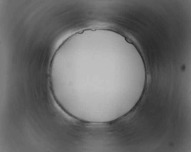 X0000115811487200912241903