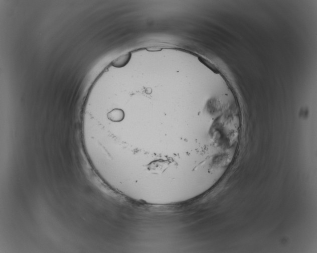 X0000115811488200912241903