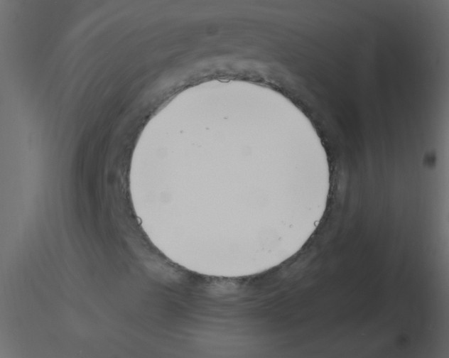 X0000115811489200912241903