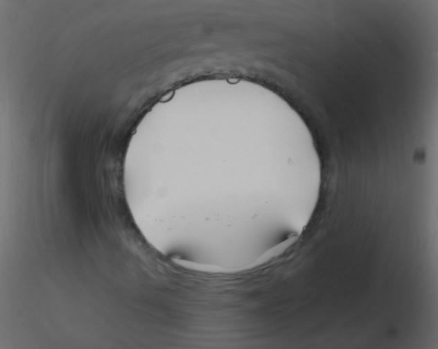 X0000115811490200912241903