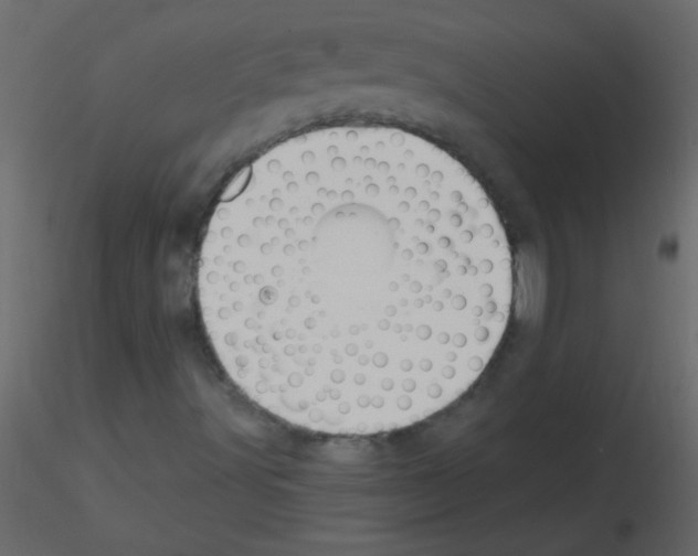 X0000115811491200912241903
