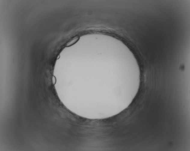 X0000115811493200912241903