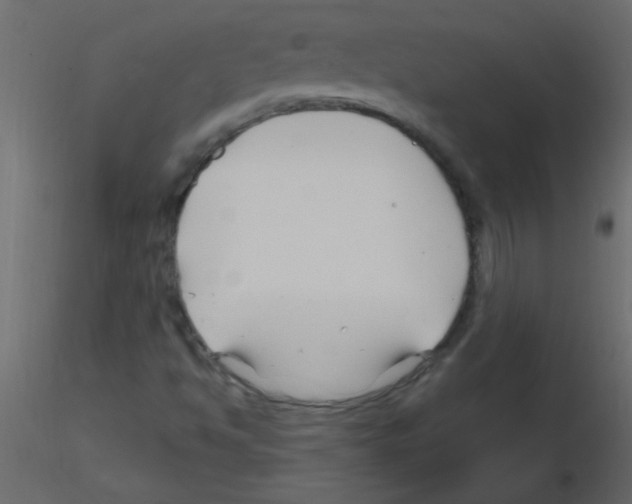X0000115811494200912241903