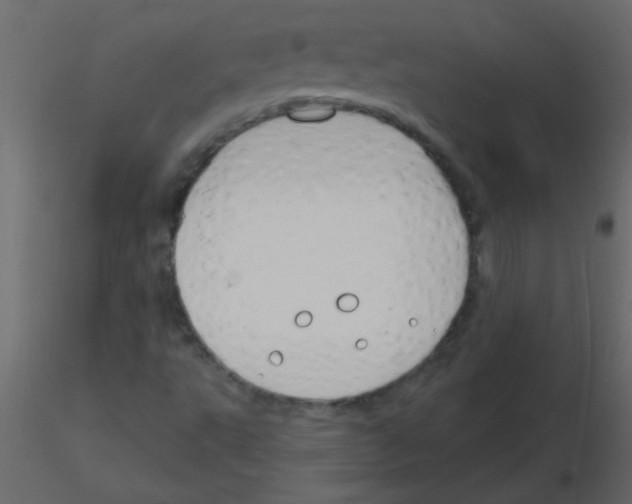 X0000115811495200912241903