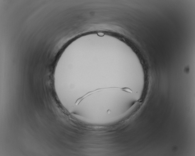 X0000115811497200912241903