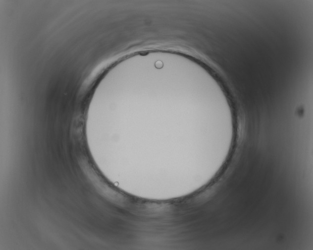 X0000115811498200912241903