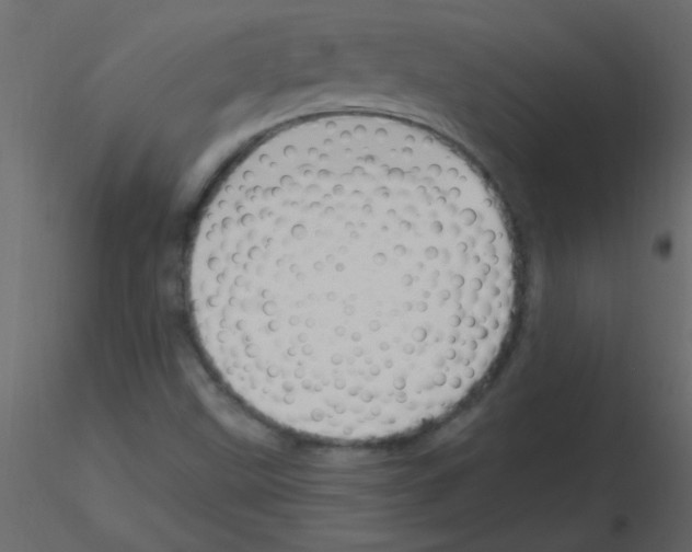 X0000115811499200912241903