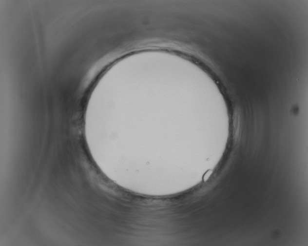 X0000115811501200912241903