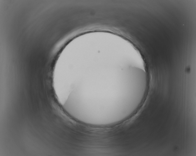 X0000115811502200912241903