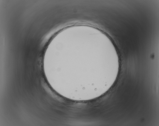 X0000115811503200912241903
