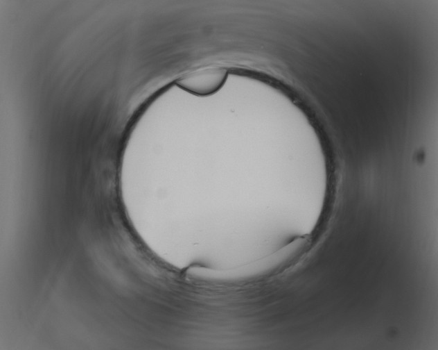 X0000115811505200912241903