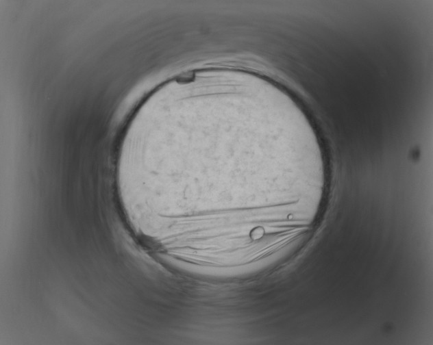 X0000115811506200912241903