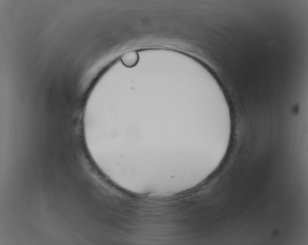 X0000115811507200912241903