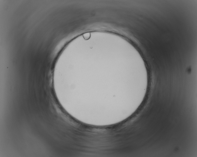 X0000115811509200912241903