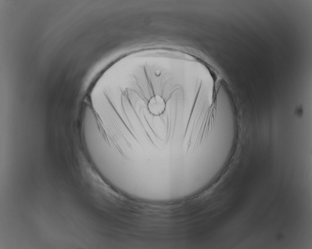 X0000115811510200912241903