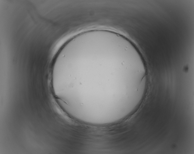 X0000115811511200912241903
