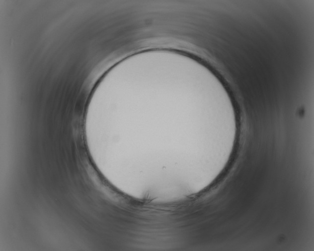 X0000115811513200912241903