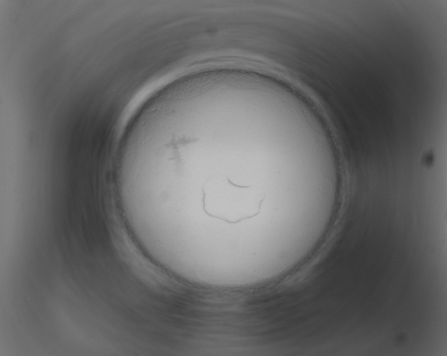 X0000115811514200912241903