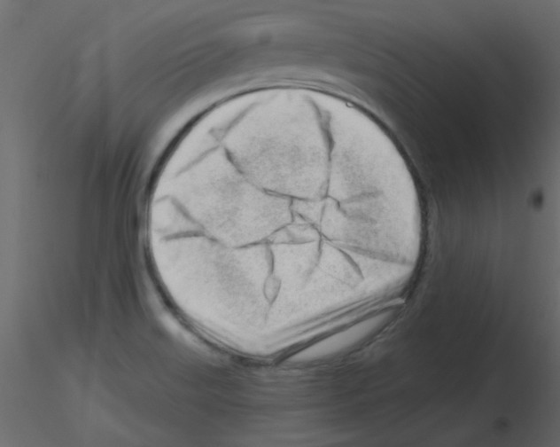 X0000115811515200912241903