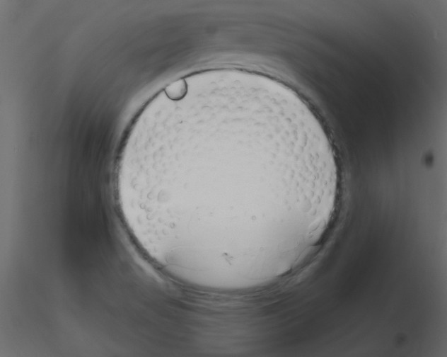 X0000115811517200912241903