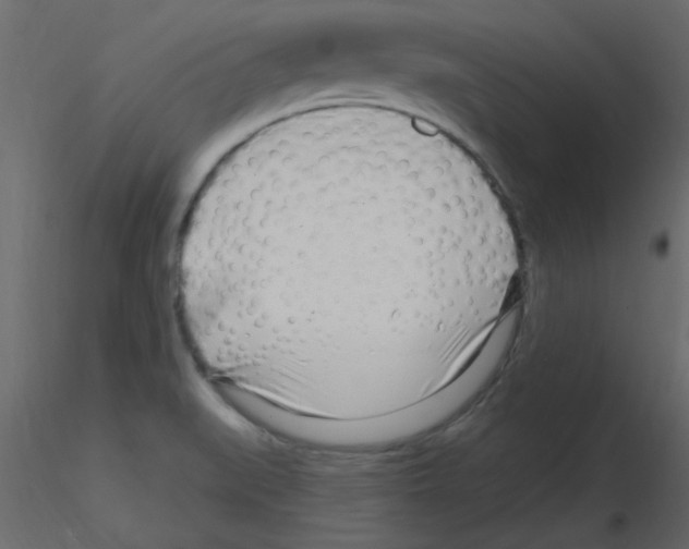 X0000115811519200912241903