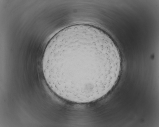 X0000115811521200912241903