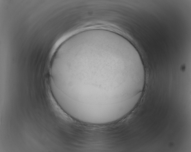 X0000115811522200912241903