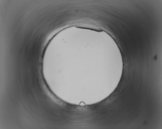 X0000115811523200912241903
