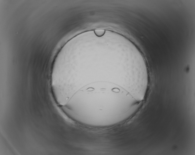 X0000115811525200912241903