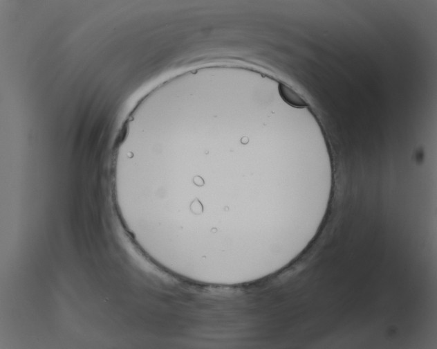 X0000115811526200912241903