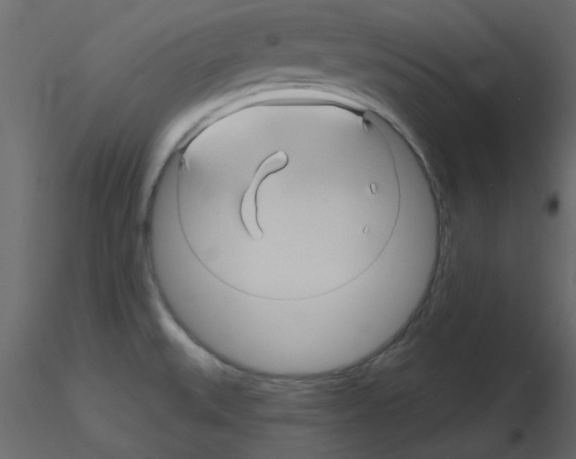 X0000115811527200912241903
