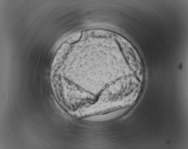 X0000115811529200912241903