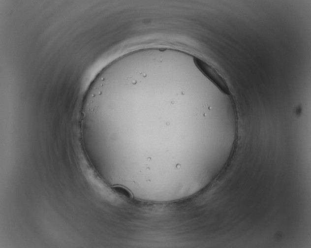 X0000115811530200912241903